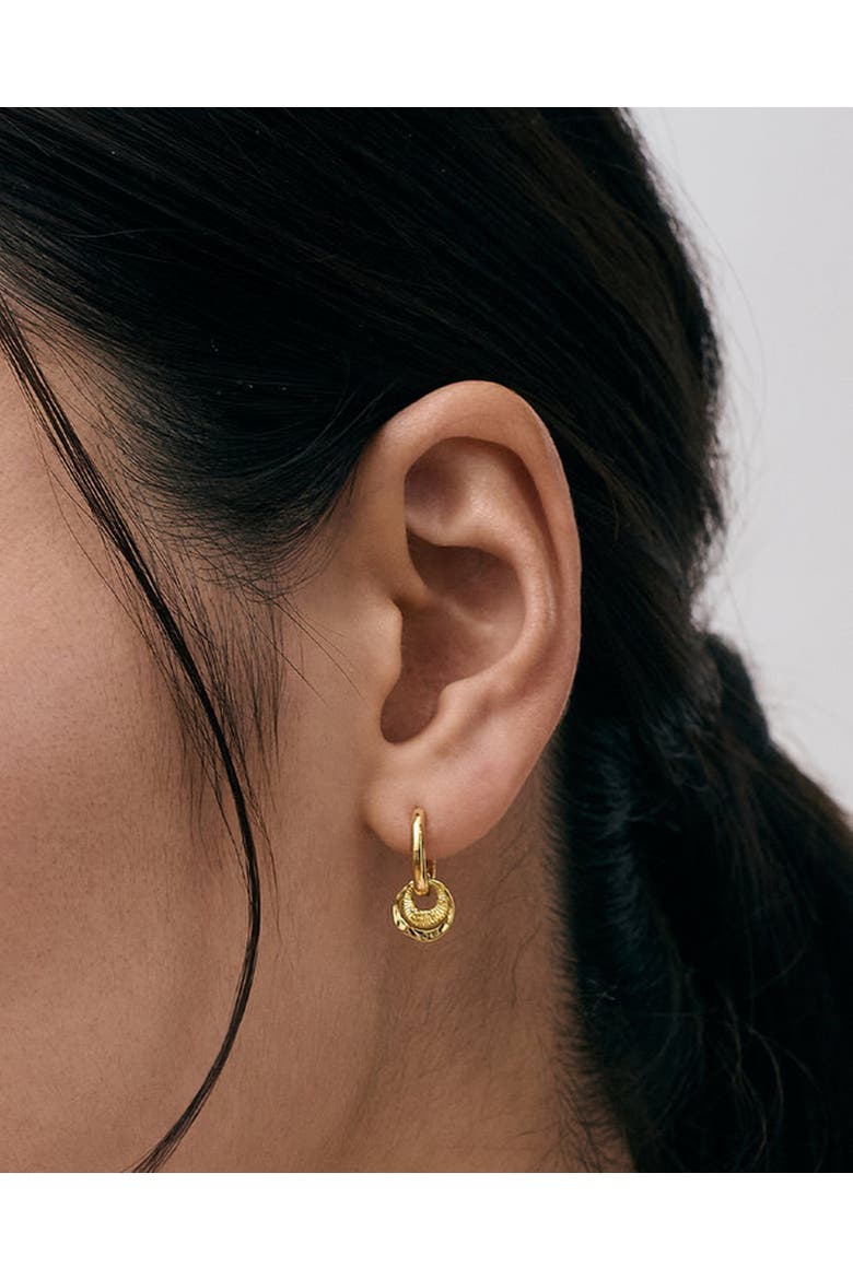 Gold Raye Charm Huggie Hoops, Alternate, color, Gold