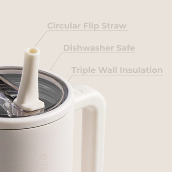 Traveler - Water Bottle with Handle & Flip Straw