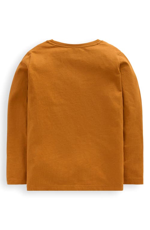 Mini Boden Kids' Squirrel Bouclé Cotton Graphic T-shirt In Orange