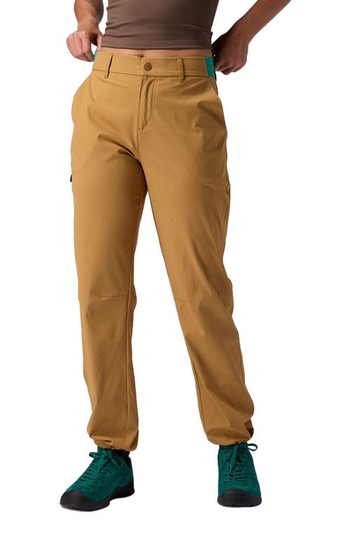Backcountry Wasatch Ripstop Trail Pant In Brown