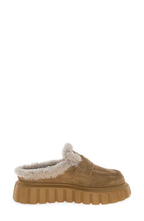 Voile Blanche Grenelle Genuine Shearling Platform Mule In Brown