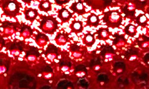 Lady Couture Onyx Rhinestone Slingback Pump In Red