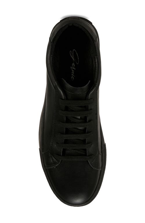 Gernie 36s Low Top Sneaker In Black Napa