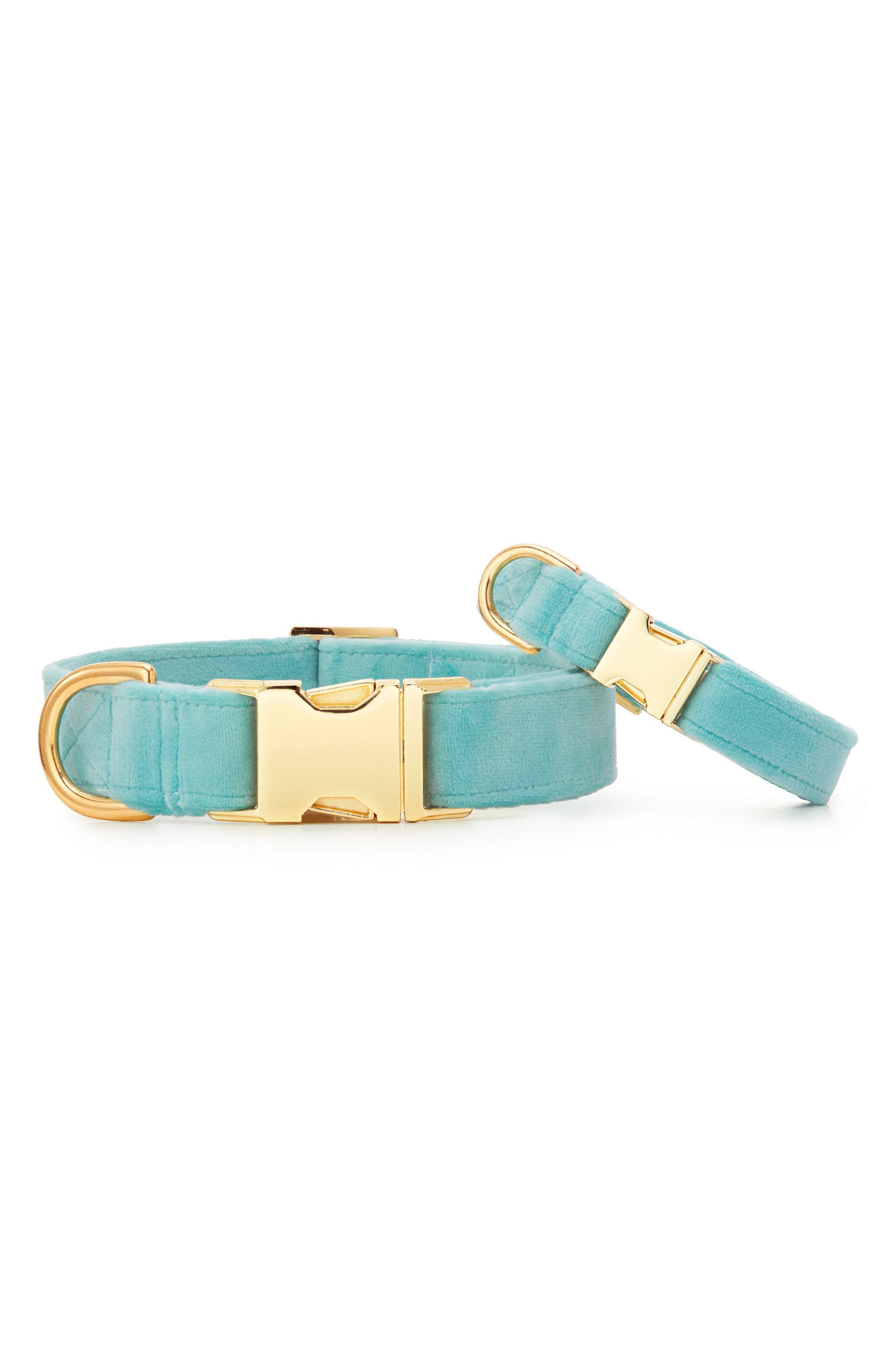 The Foggy Dog Velveteen Dog collar in Blue at Nordstrom, Size Large