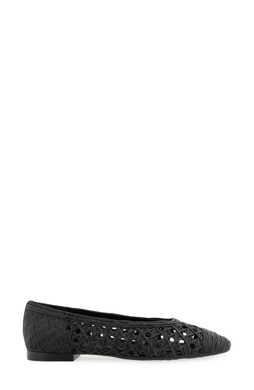 AEROSOLES AEROSOLES ARNO RAFFIA BALLET FLAT