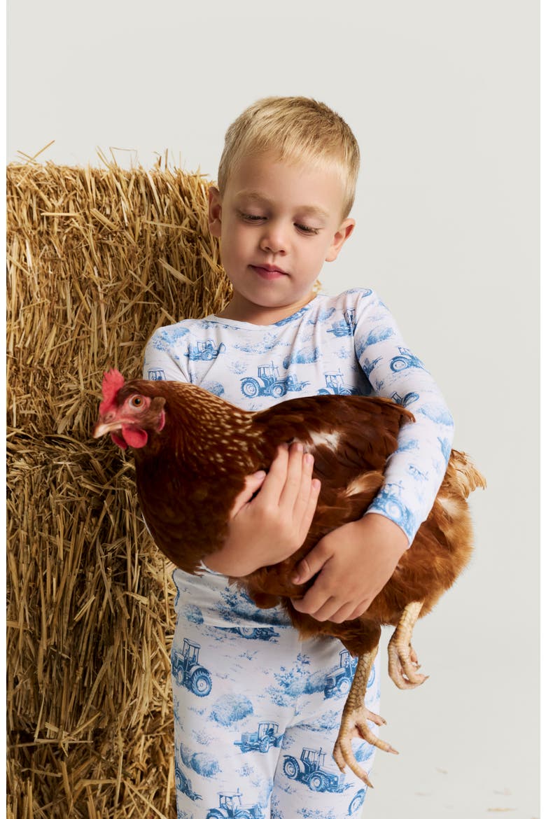 Kids' Print Fitted Two-Piece Pajamas, Alternate, color, HUDSON