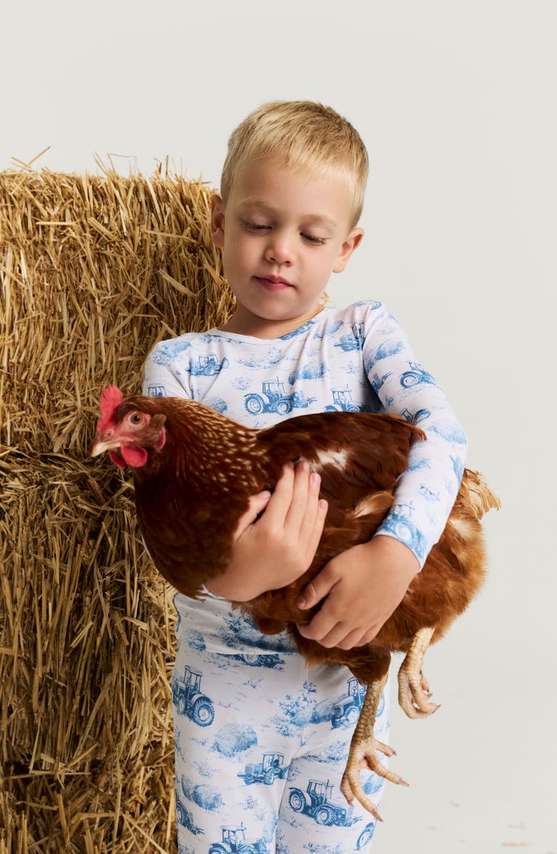 Posh Peanut Kids' Print Fitted Two-Piece Pajamas, Alternate, color, Hudson