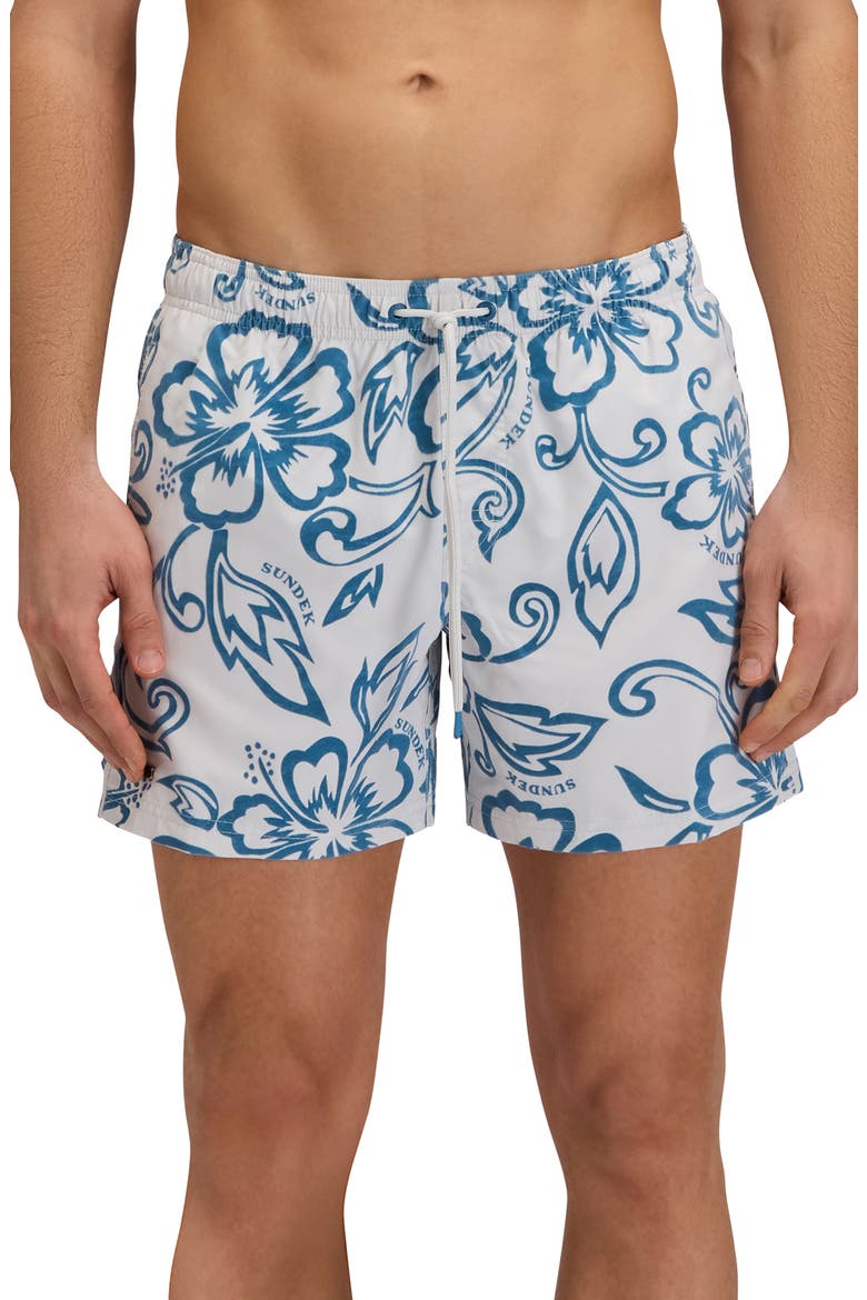 Print Swim Trunks, Main, color, GHOST