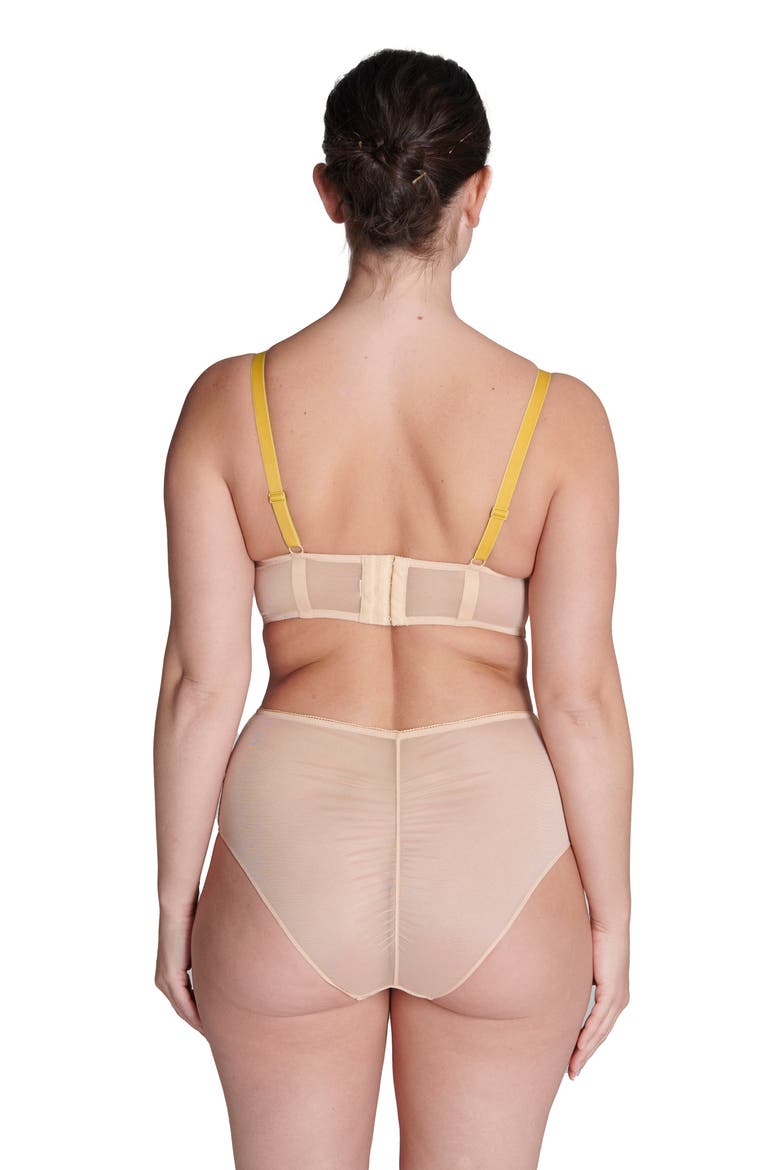 Adele High Waist Lace & Mesh Briefs, Alternate, color, GINGER