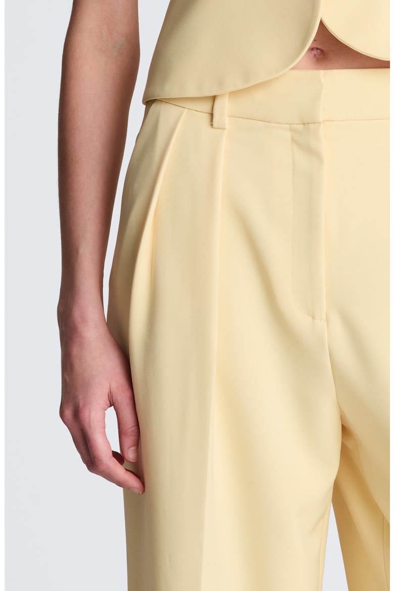 Double Pleat Wide Leg Pants, Alternate, color, PASTEL YELLOW
