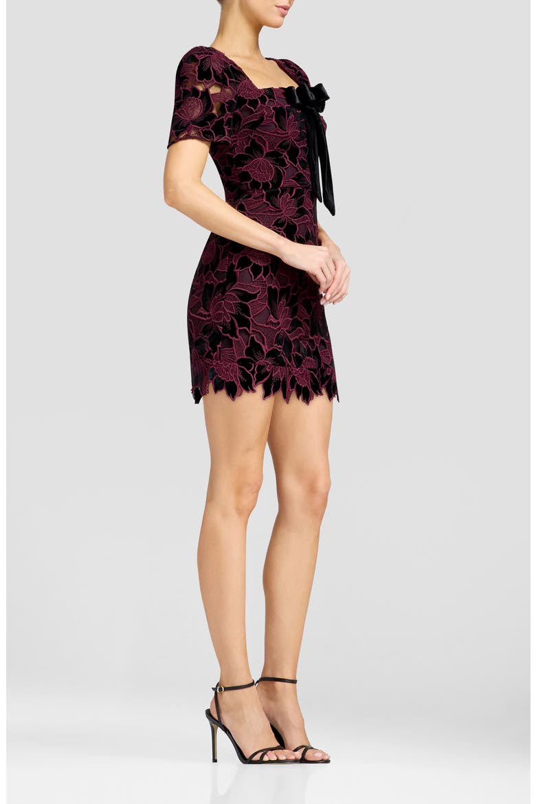 Clarke Floral Lace Minidress, Alternate, color, DEEP PLUM MULTI