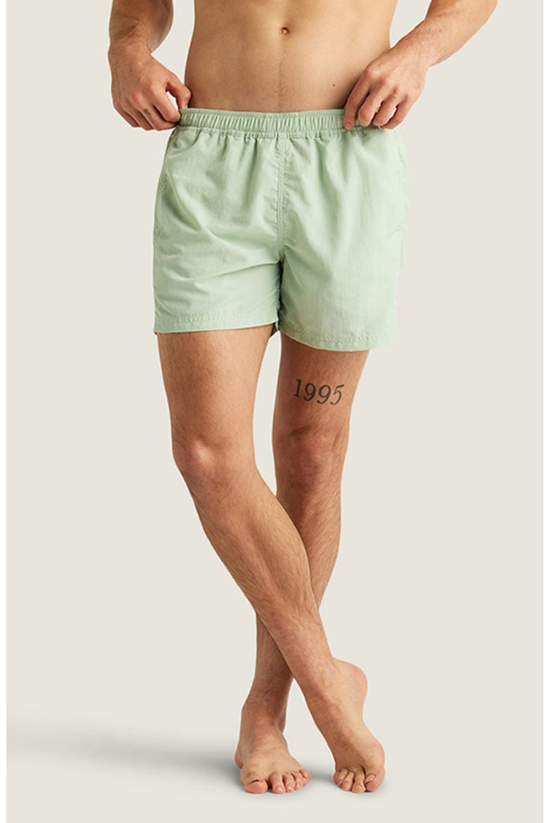 Sebastian Solid 4-Inch Nylon Swim Trunks, Main, color, OVERCAST