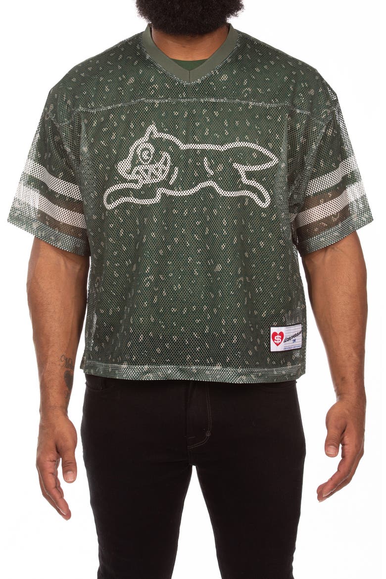 Eskimo Oversize Short Sleeve Mesh V-Neck Jersey, Main, color, SYCAMORE