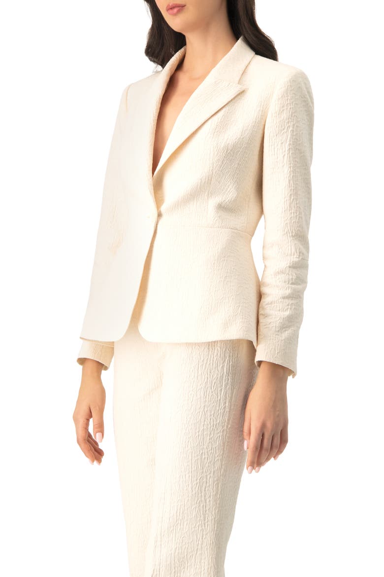 Single-Breasted Textured Tailored Blazer, Alternate, color, Natural