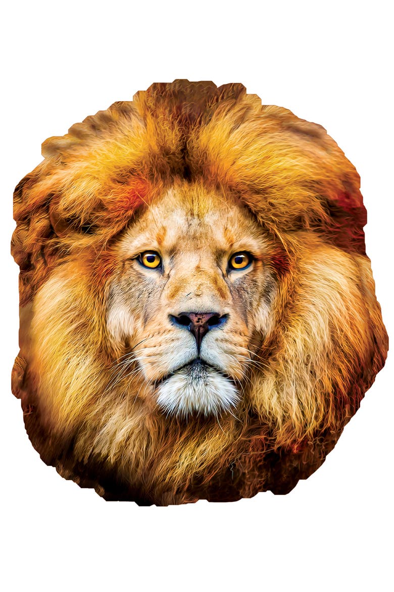 Lion 100 Piece Shaped Jigsaw Puzzle, Alternate, color, Multicolor