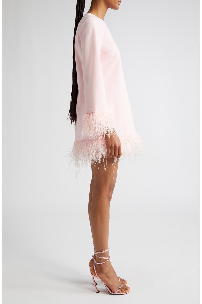 Marullo Feather Trim Long Sleeve Dress, Alternate, color, ROSE SHADOW