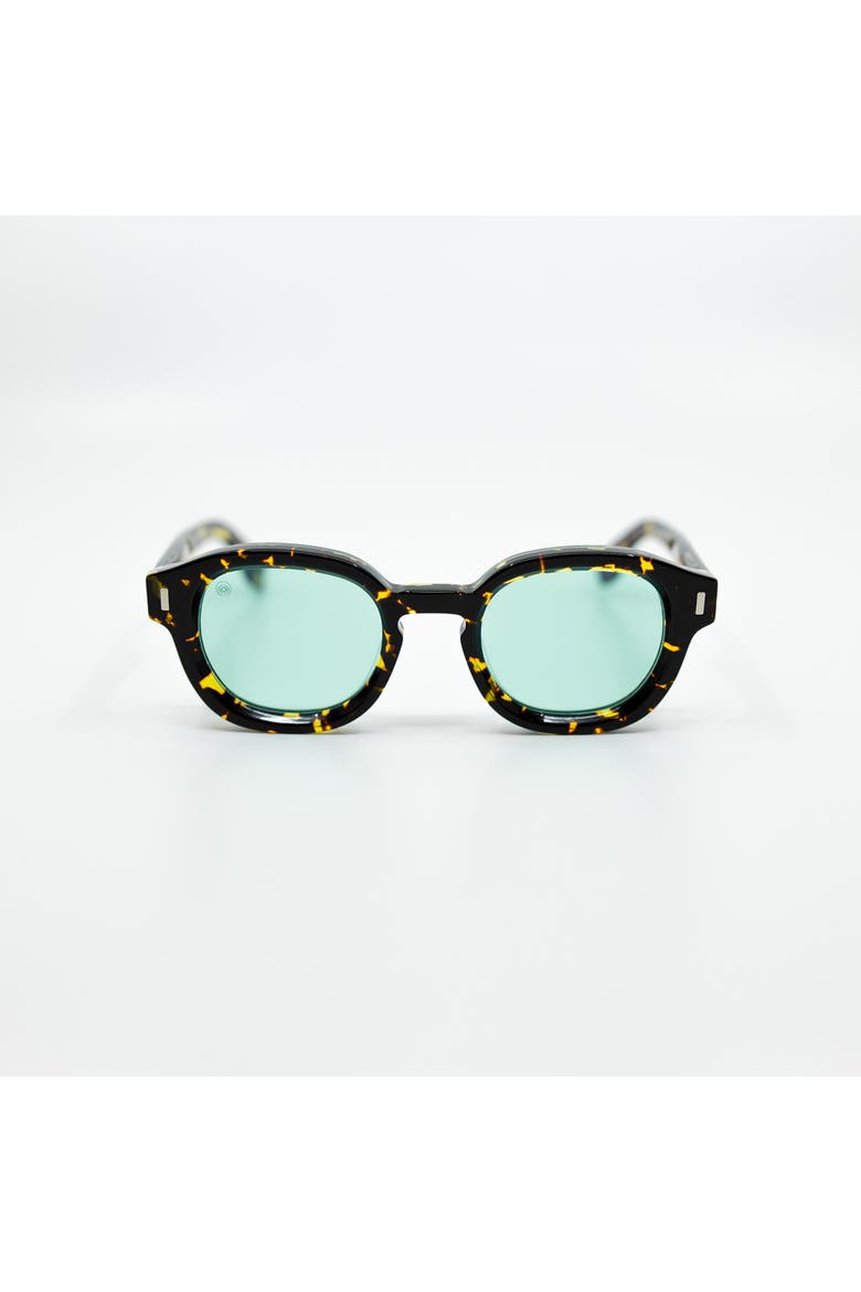 Tom Havana Sunglasses, Main, color, Aqua