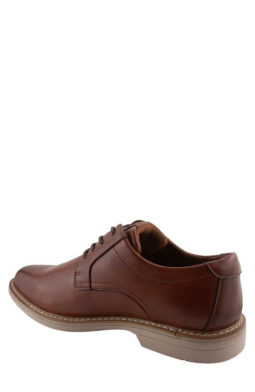 Deer Stags Belmont Plain Toe Derby In Brown