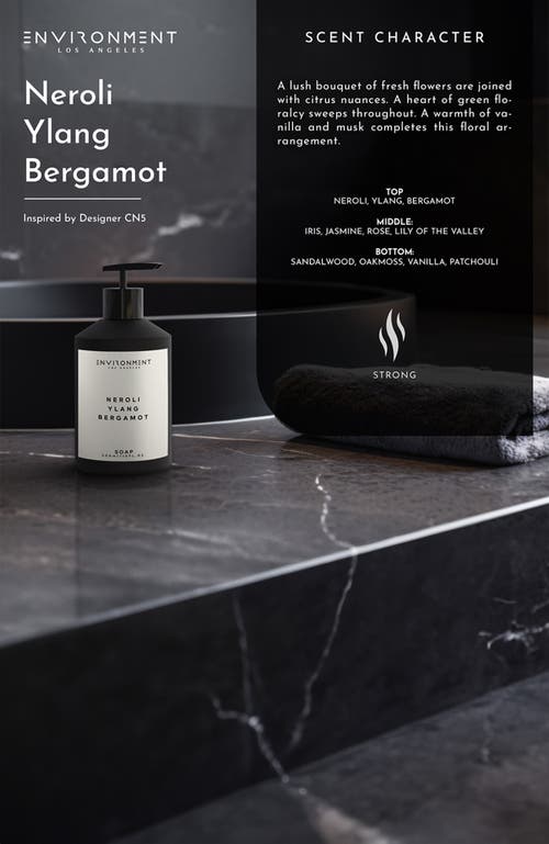 Environment Inspired By Designer Perfume Hand Soap
