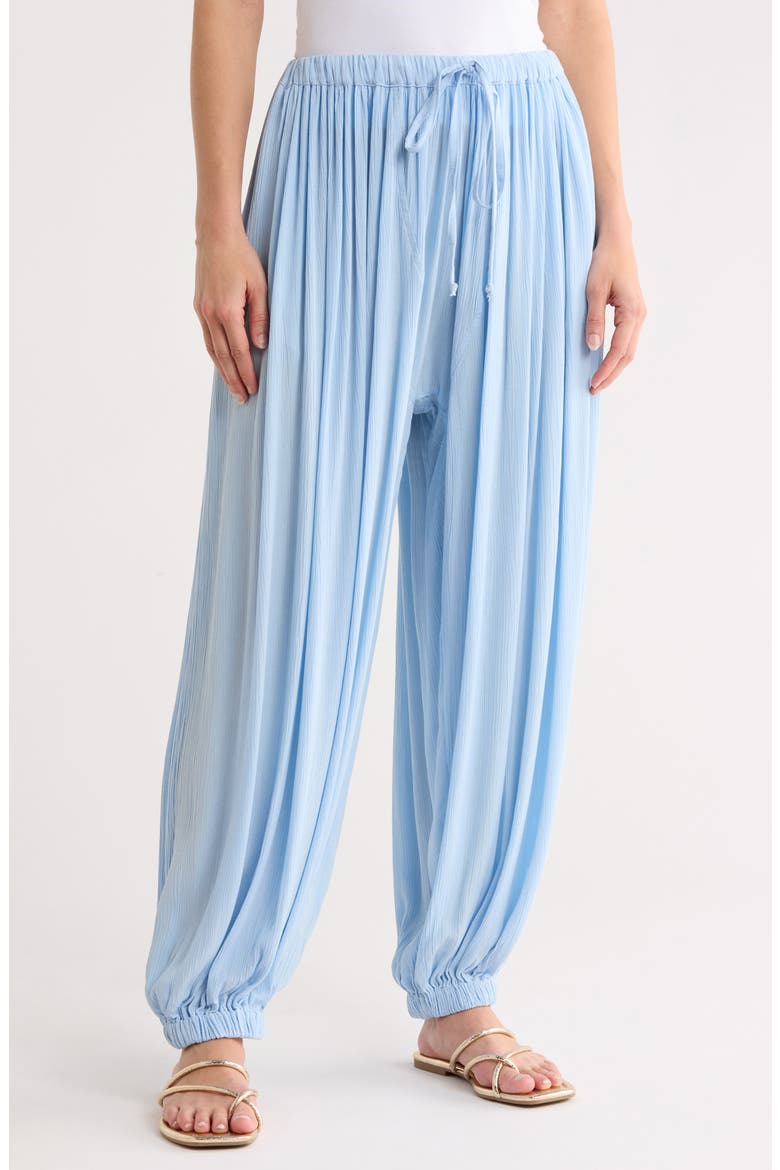 Balloon Cover-Up Pants, Main, color, BLUE