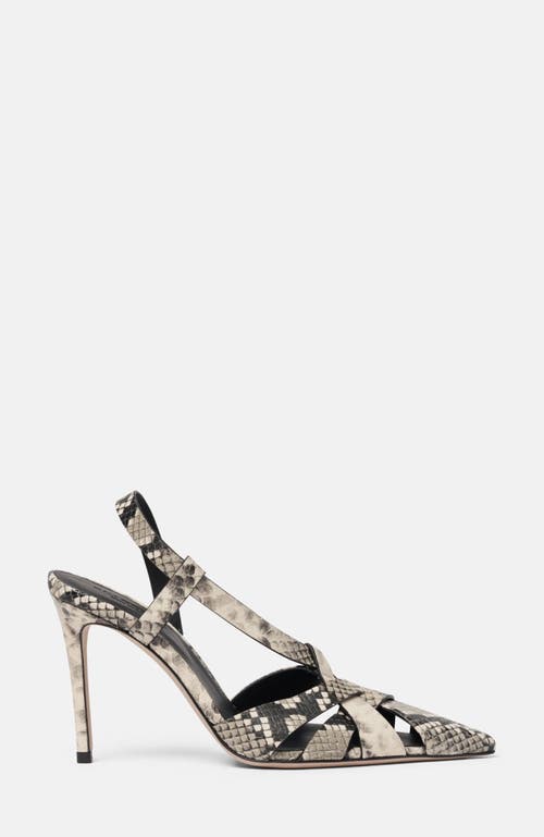 Scarosso Athena Pumps