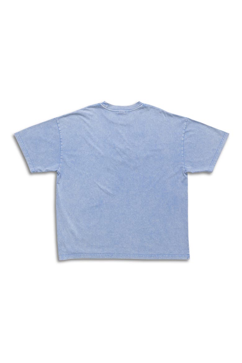 Mineral Wash Logo Graphic T-Shirt, Alternate, color, BLUE