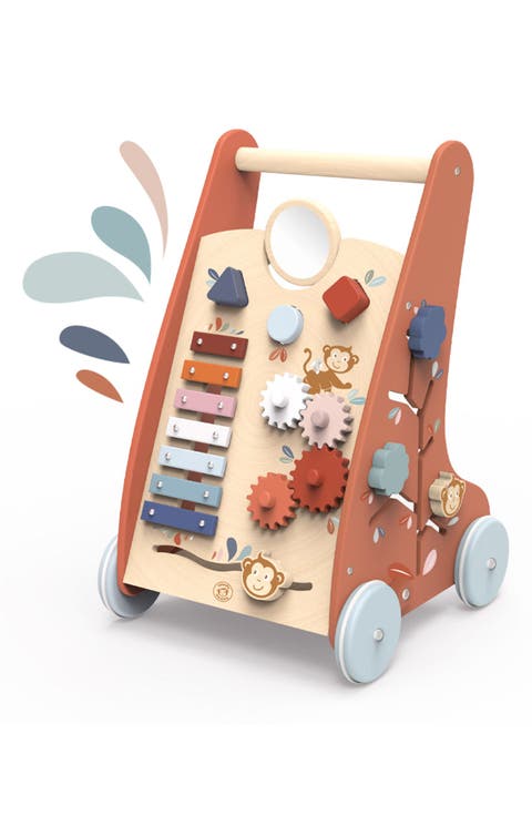 Multi Activity Push Toy