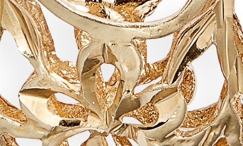 Child Of Wild Spanish Fly Hoop Earrings In Gold