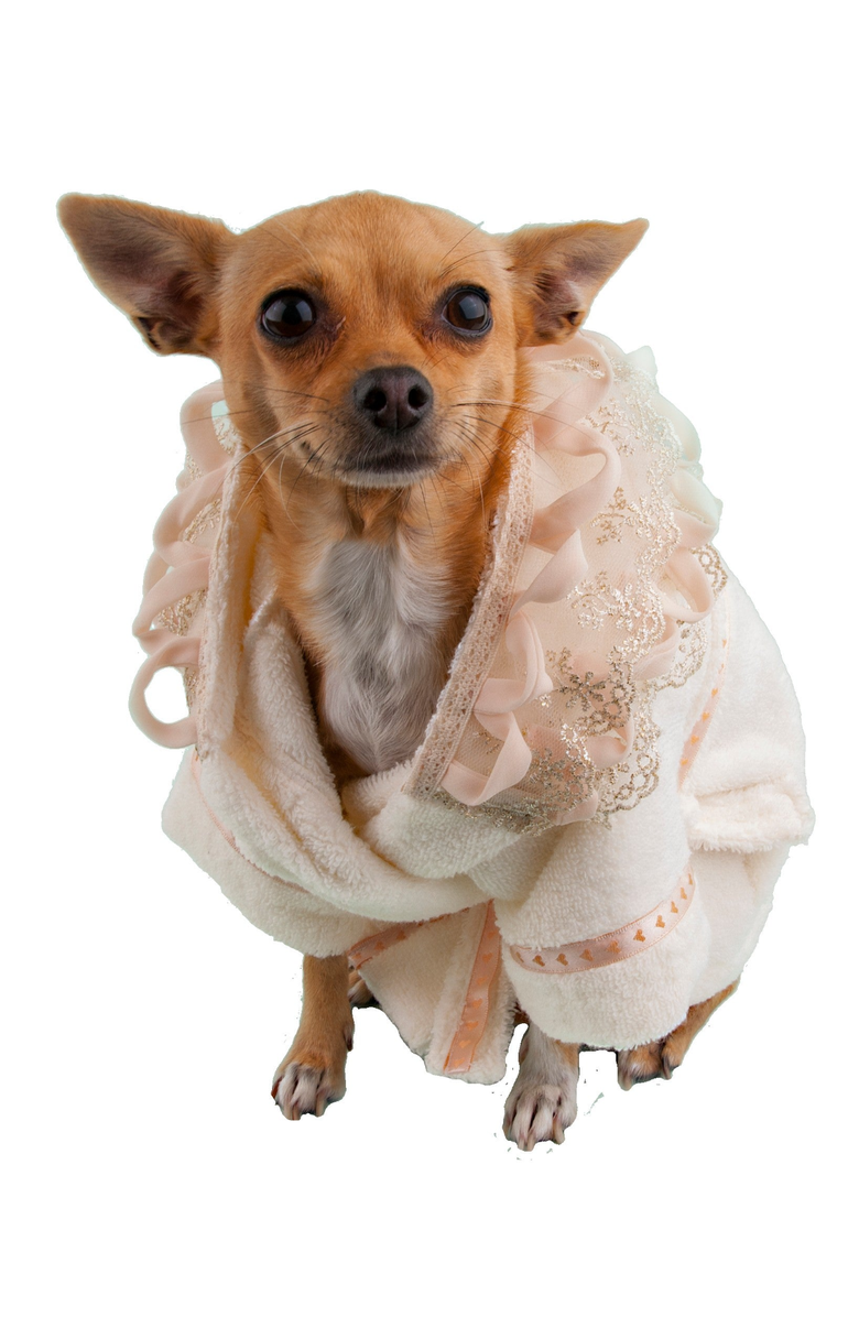 Moshiqa Principessa Bathrobe, Main, color, Beige