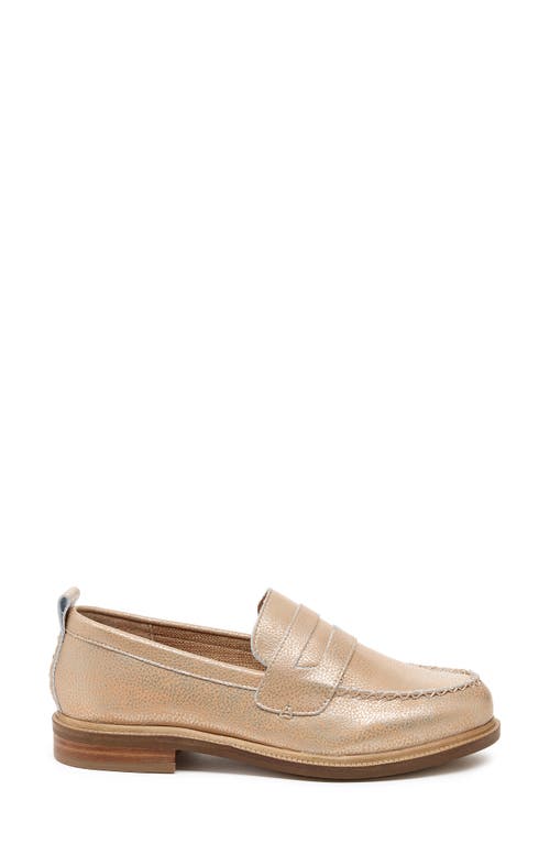 Kelsi Dagger Brooklyn Lens Penny Loafer In Chai