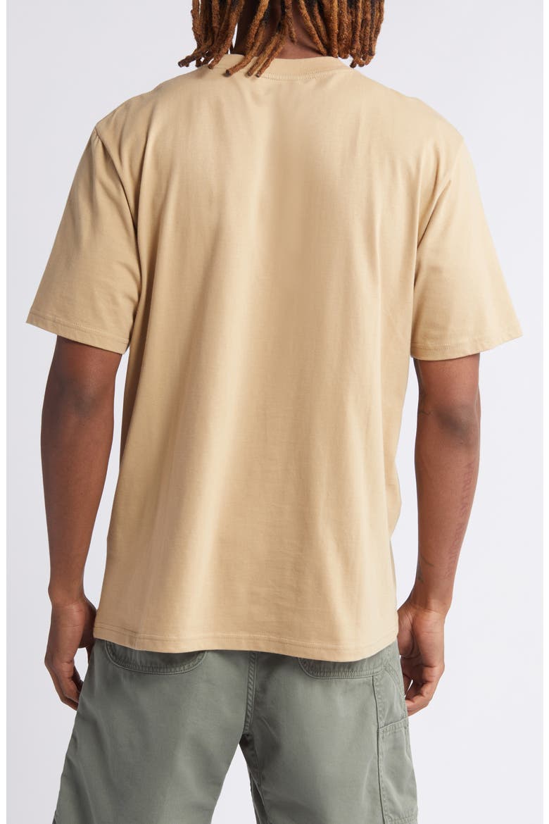 Palette Organic Cotton Graphic T-Shirt, Alternate, color, SABLE