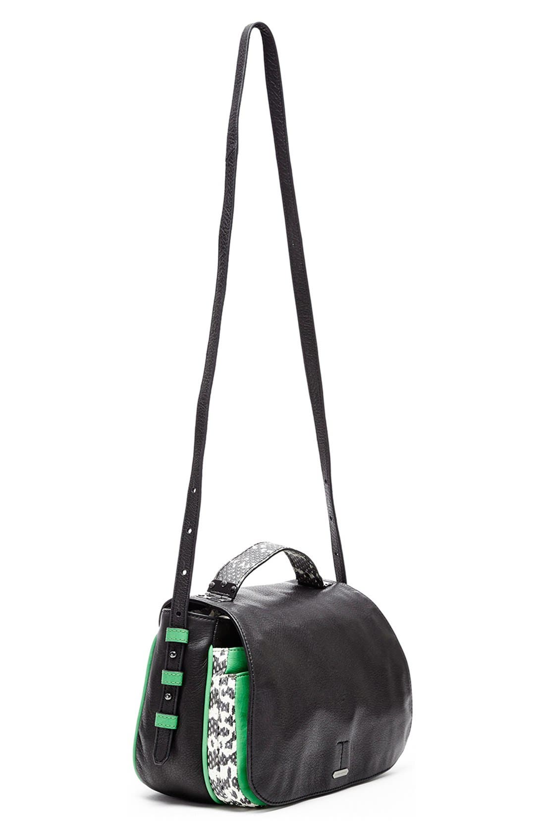 HAYDEN-HARNETT , Alternate, color, 