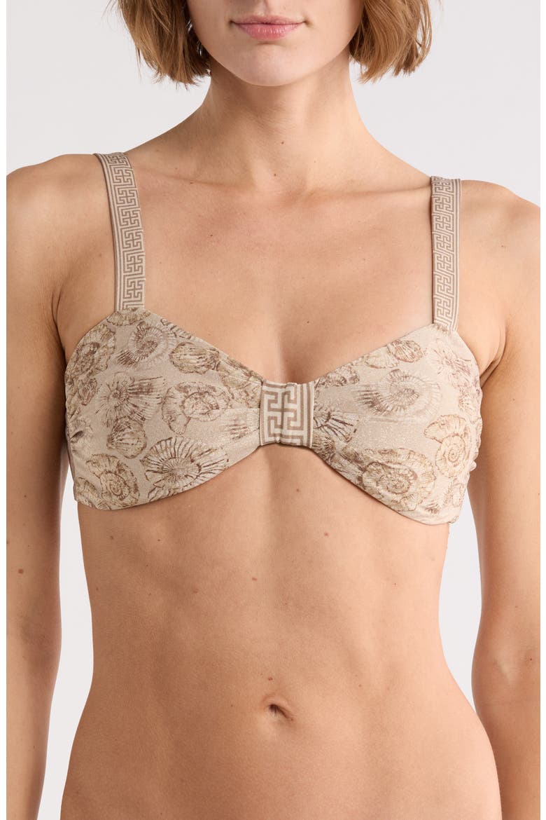Shell Print Bikini Top, Main, color, SAFARI