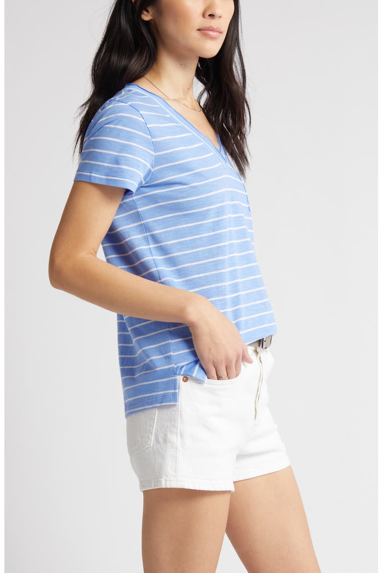 V-Neck Short Sleeve Pocket T-Shirt, Alternate, color, BLUE- WHITE JULIA STRIPE