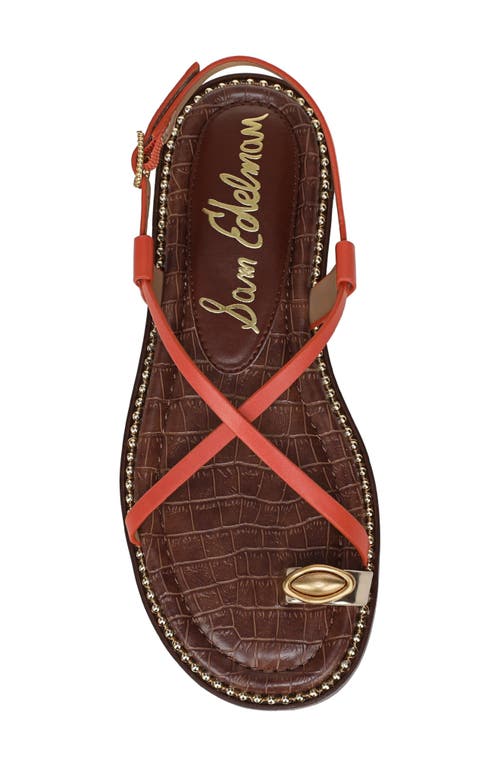 Sam Edelman Tenly Toe Loop Sandal In Orange Sunrise/amber Gold
