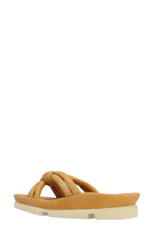 L'amour Des Pieds Veda Sandal In Lioness