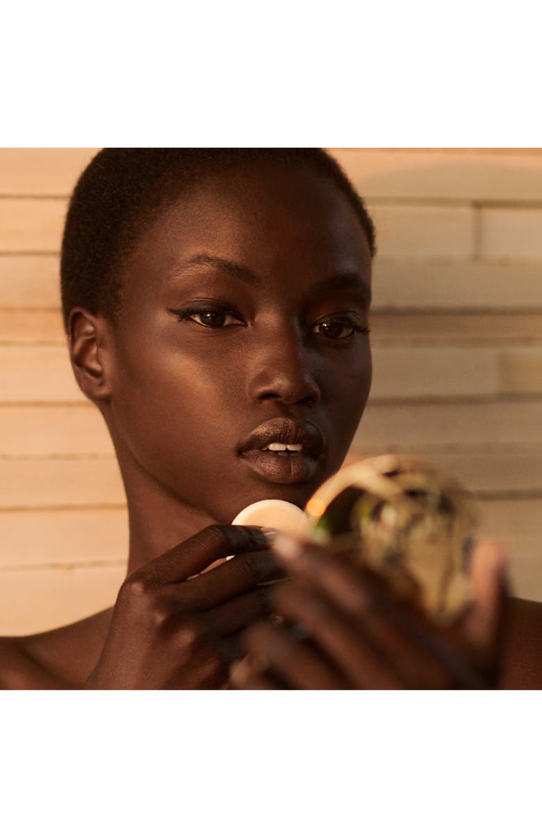 Estée Lauder Double Wear Stay In Place Matte Powder Foundation, Alternate, color,