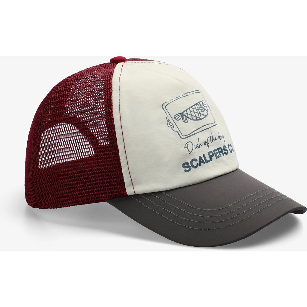 Scalpers Venice Trucker Cap In Multi