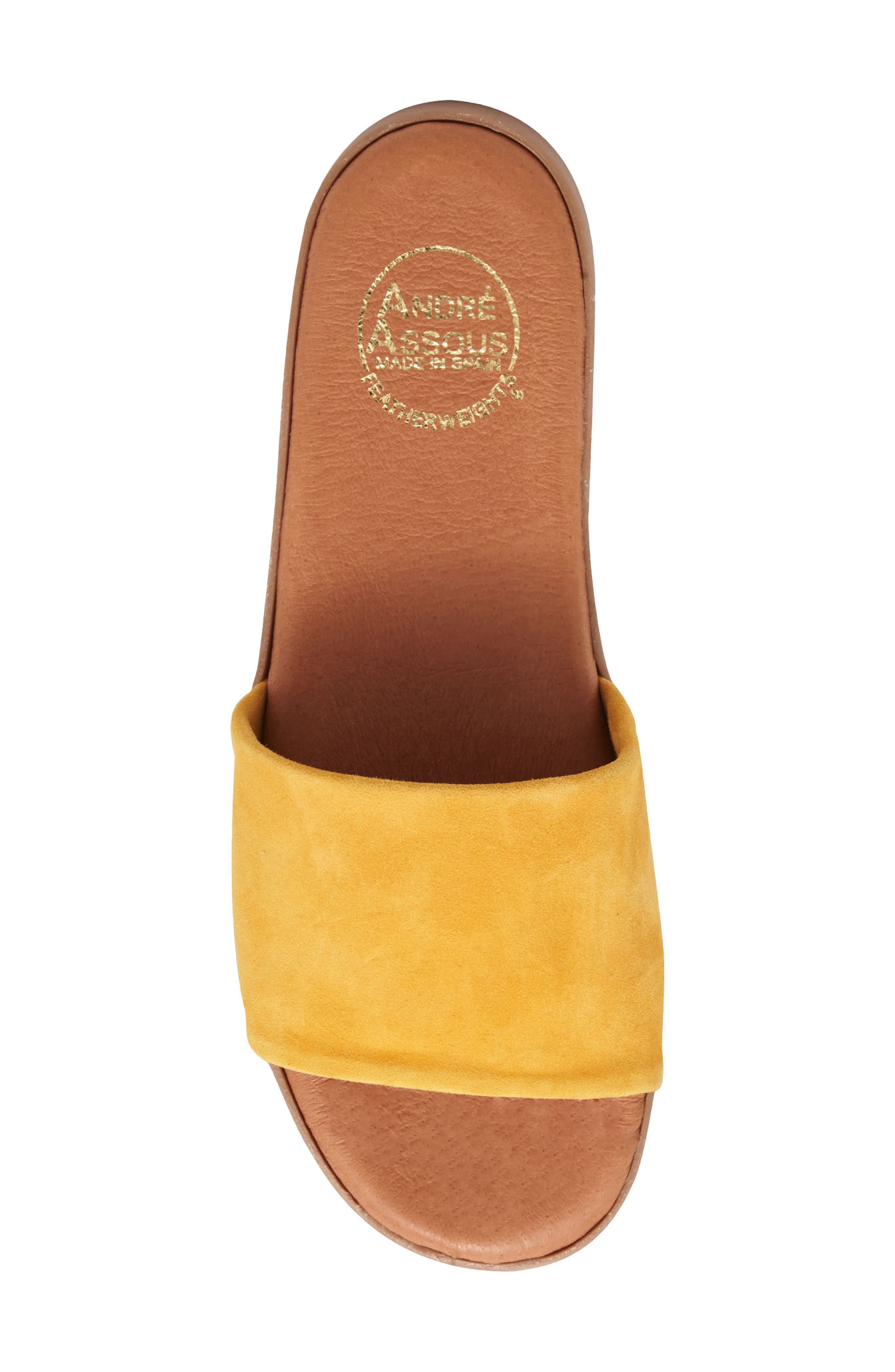 André Assous Paloma Woven Slide Sandal, Alternate, color, Lemon