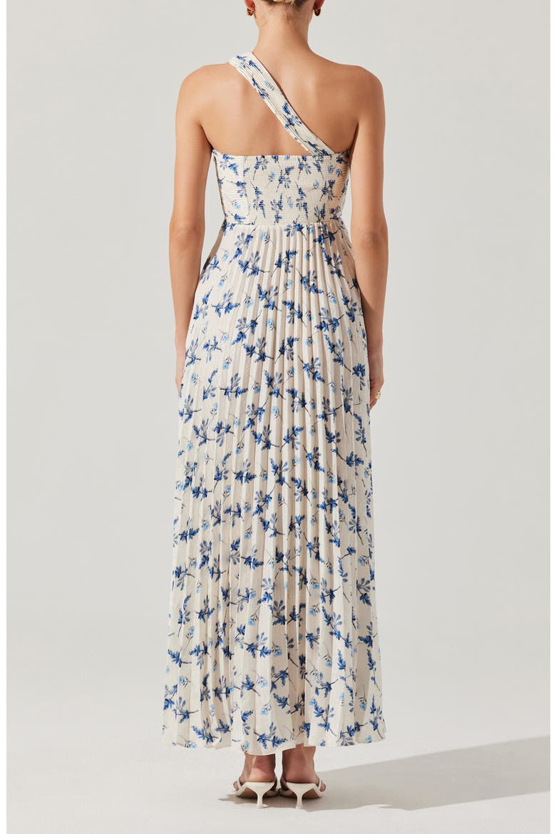 Rasya Floral Pleated One-Shoulder Maxi Dress, Alternate, color, WHITE BLUE FLORAL