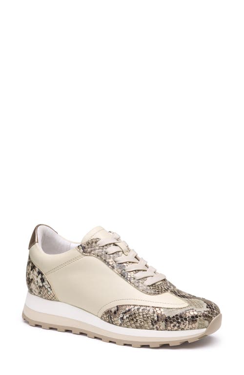 Johnston & Murphy Piper T-toe Sneaker In Pewter Metallic