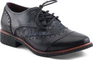 L'Artiste by Spring Step Bargiasti Derby