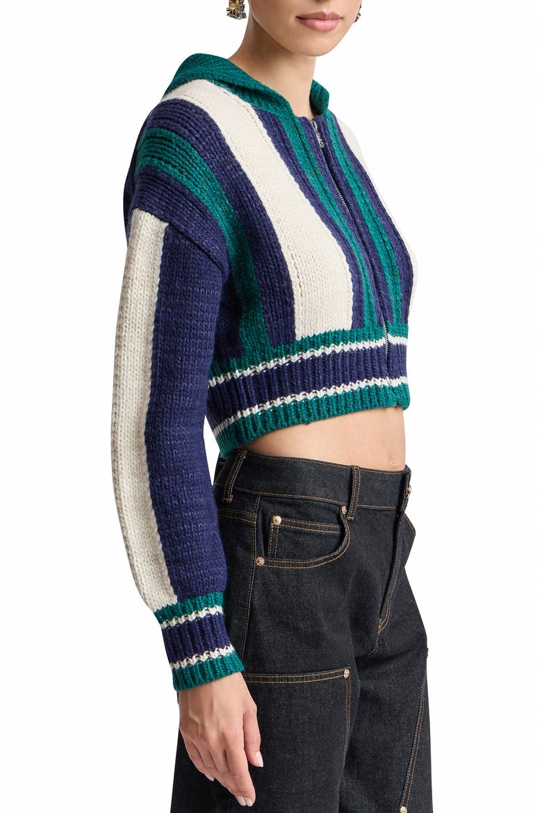 Striped Chunky Zip Cardigan, Alternate, color, NAVY COMBO