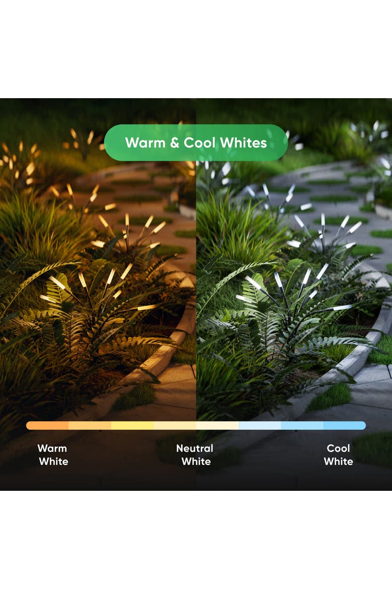 Solar Garden Lights V1.5 SMK  2 Sets, Alternate, color, Multicolor