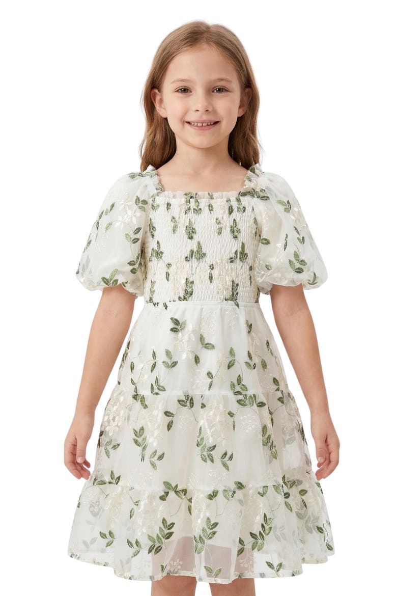 Kids' Floral Embroidered Organza Dress, Main, color, IVORY