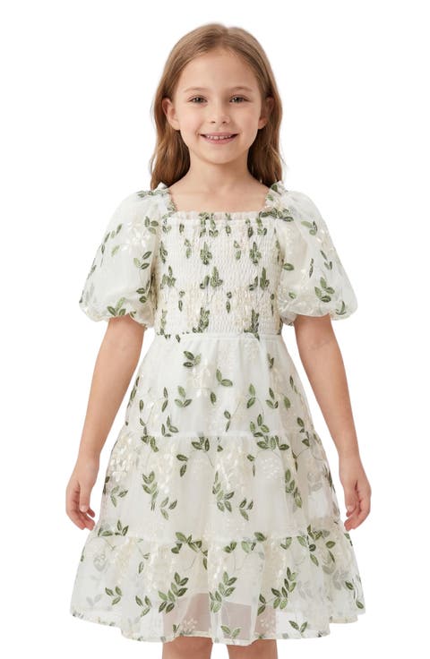 Kids' Floral Embroidered Organza Dress (Big Kid)