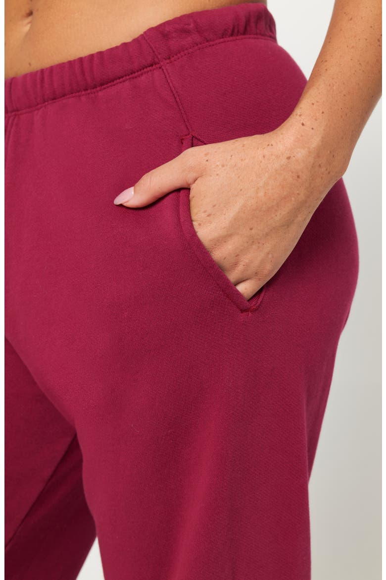 Sol Cotton Sweatpants, Alternate, color, PORT