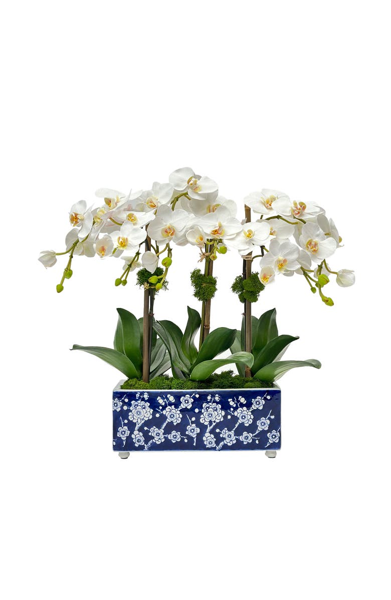 Winward Home Orchid In Longlife Arranger, Main, color, 