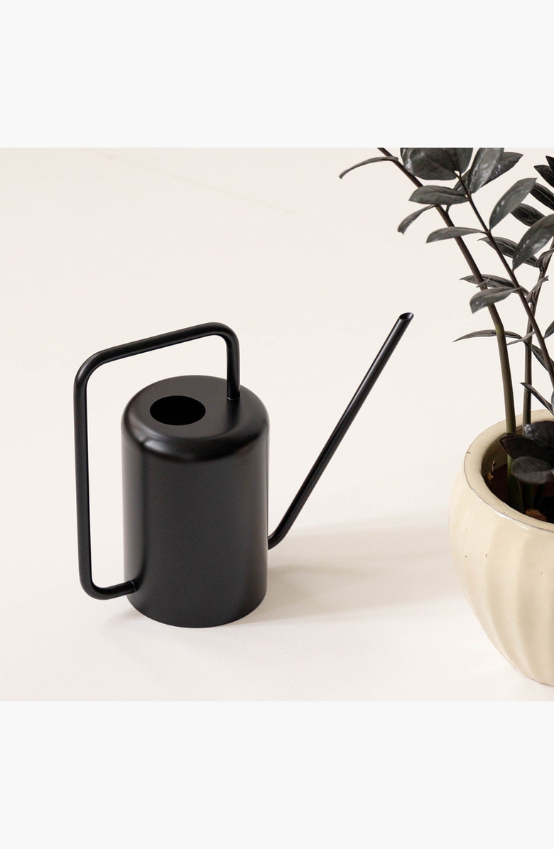PUBLIC GOODS Watering Can, Alternate, color, Black