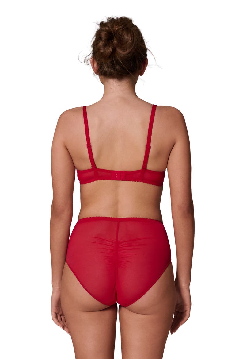 Intrigue Floral Embroidered Briefs, Alternate, color, OPERA RED